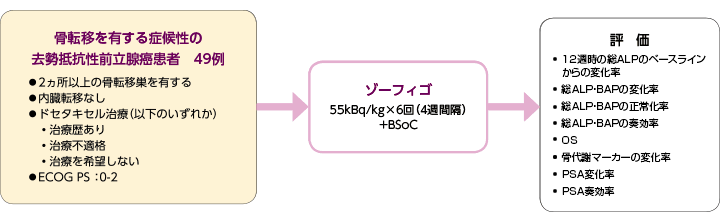 国内第II相臨床試験1)