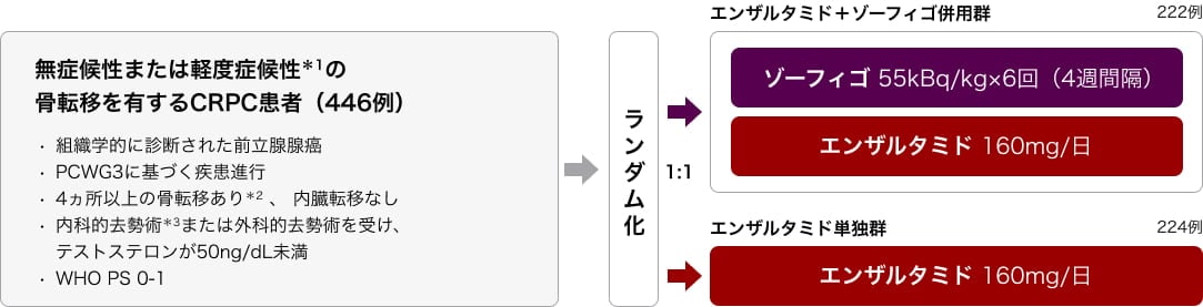 多施設共同、ランダム化、非盲検、国外第Ⅲ相臨床試験　