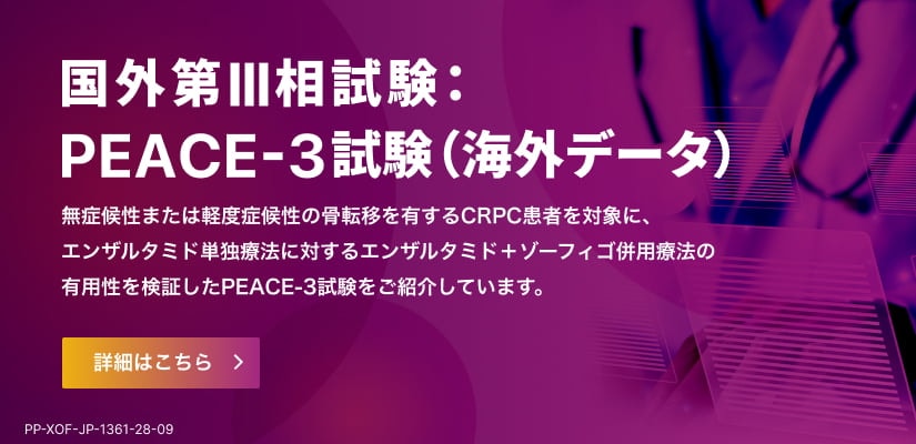 国外第Ⅲ相試験：PEACE-3 試験（海外データ）